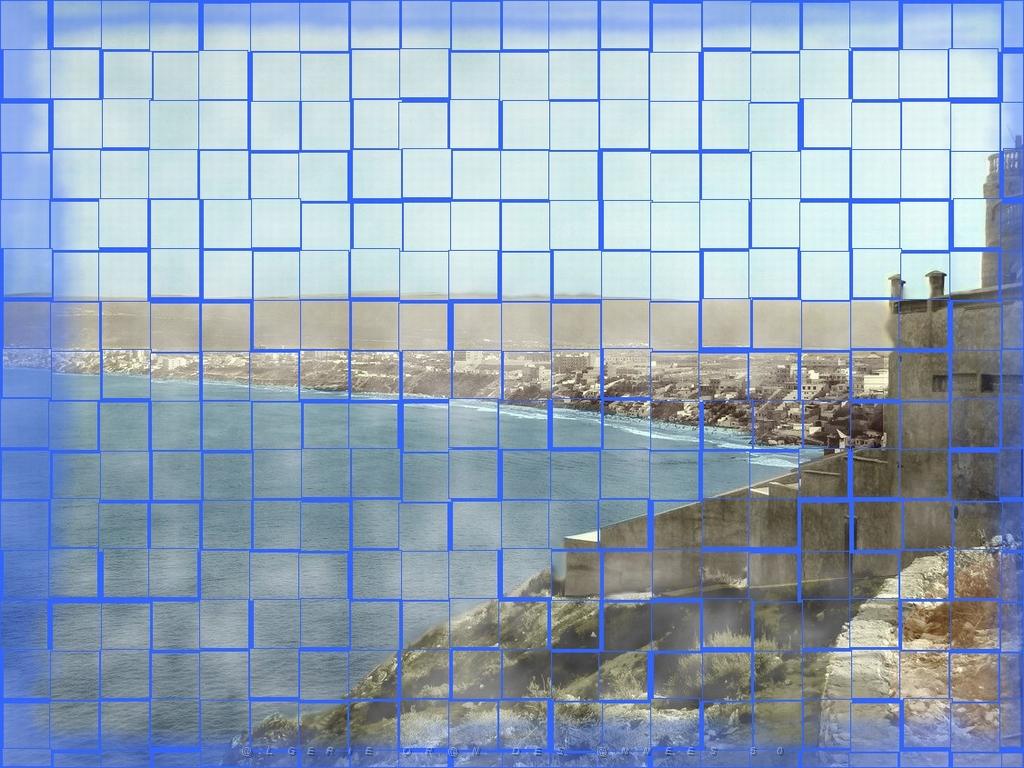 cap falcon 04 .jpg